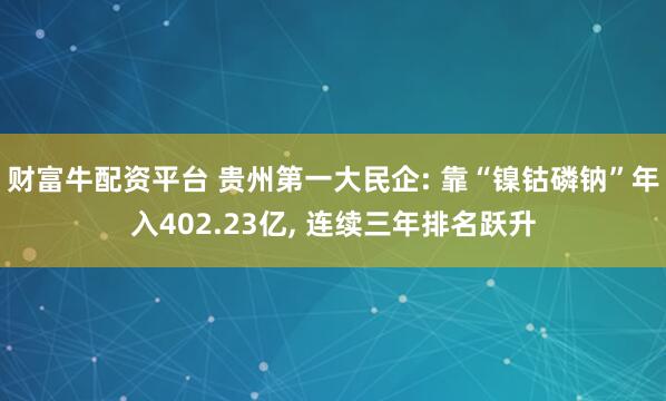 财富牛配资平台 贵州第一大民企: 靠“镍钴磷钠”年入402.23亿, 连续三年排名跃升