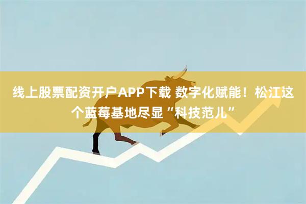 线上股票配资开户APP下载 数字化赋能！松江这个蓝莓基地尽显“科技范儿”