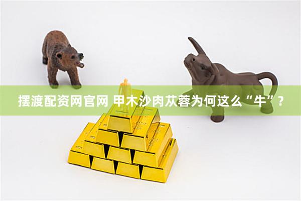 摆渡配资网官网 甲木沙肉苁蓉为何这么“牛”？